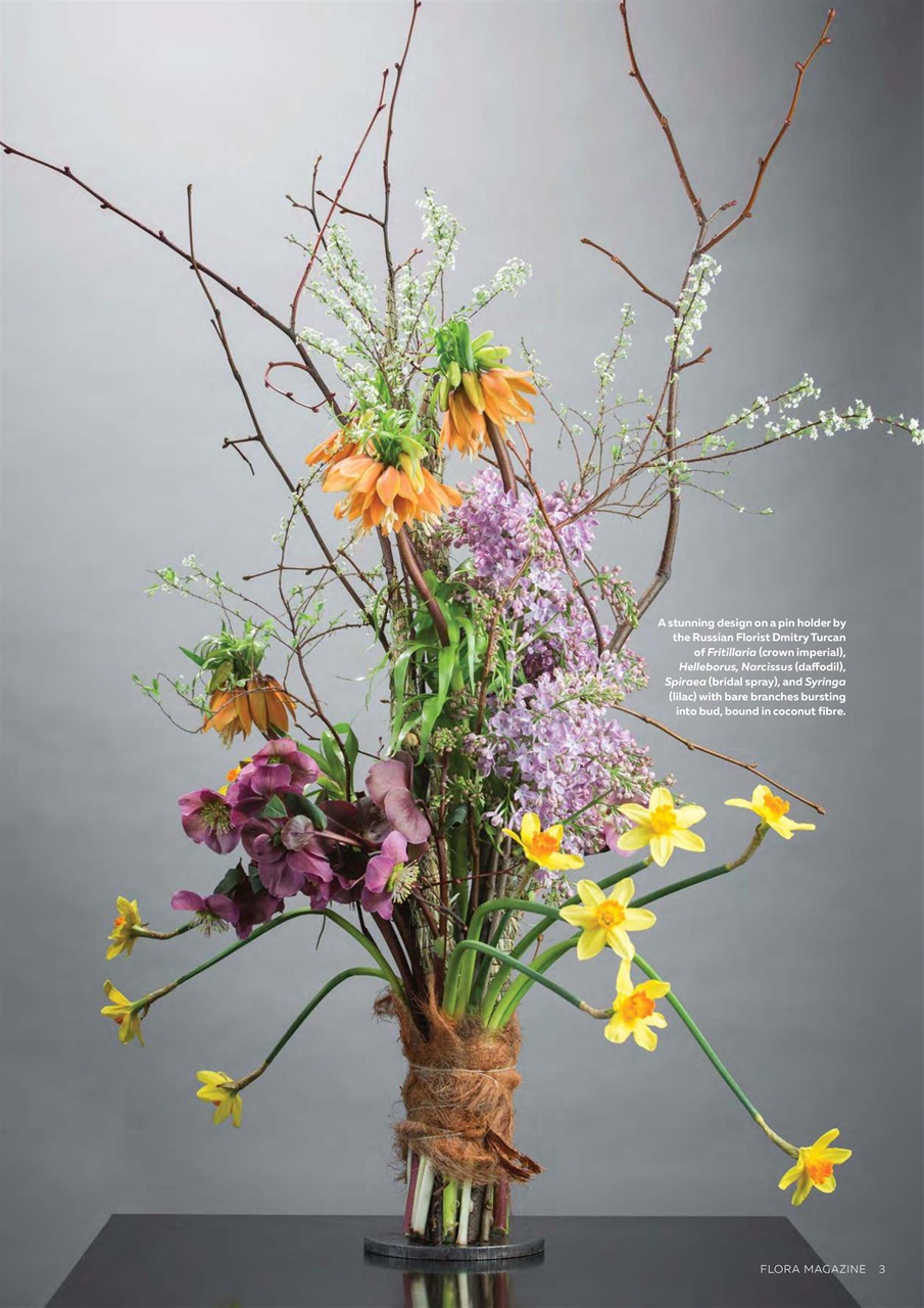 Flora International Preview Pages