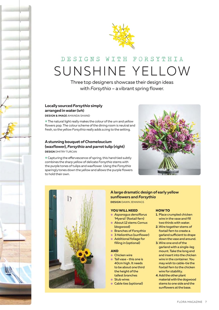 Flora International Preview Pages