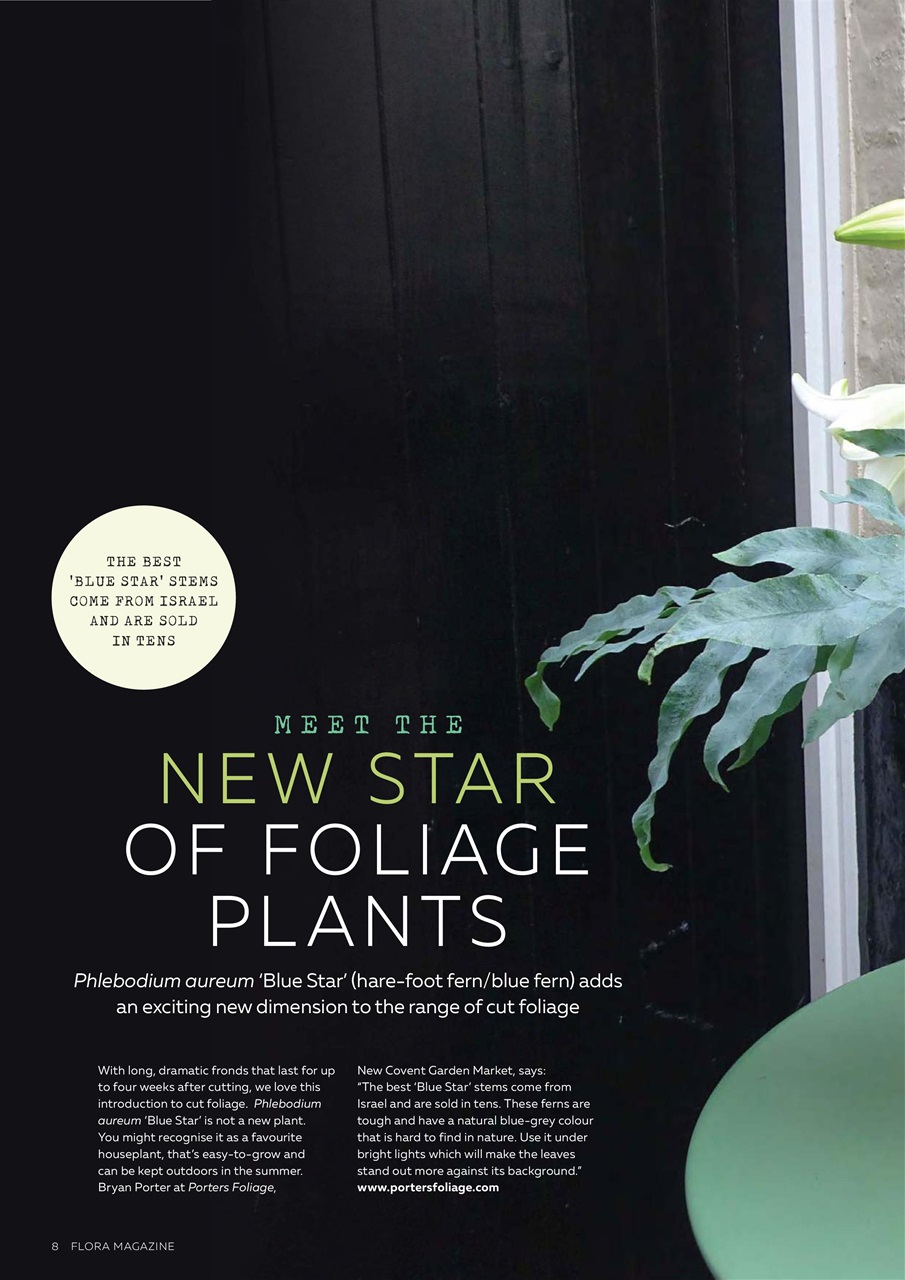 Flora International Preview Pages