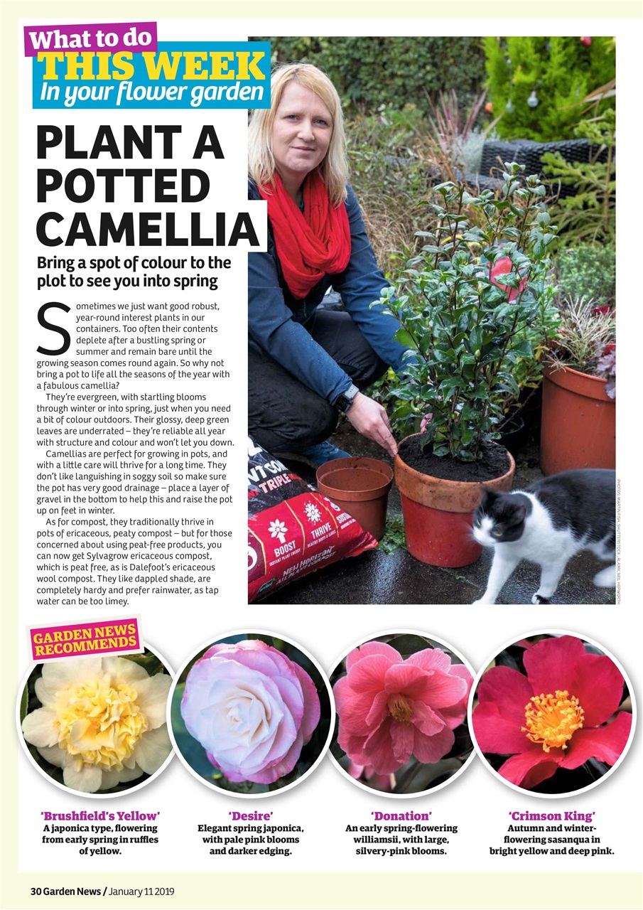 Garden News Preview Pages