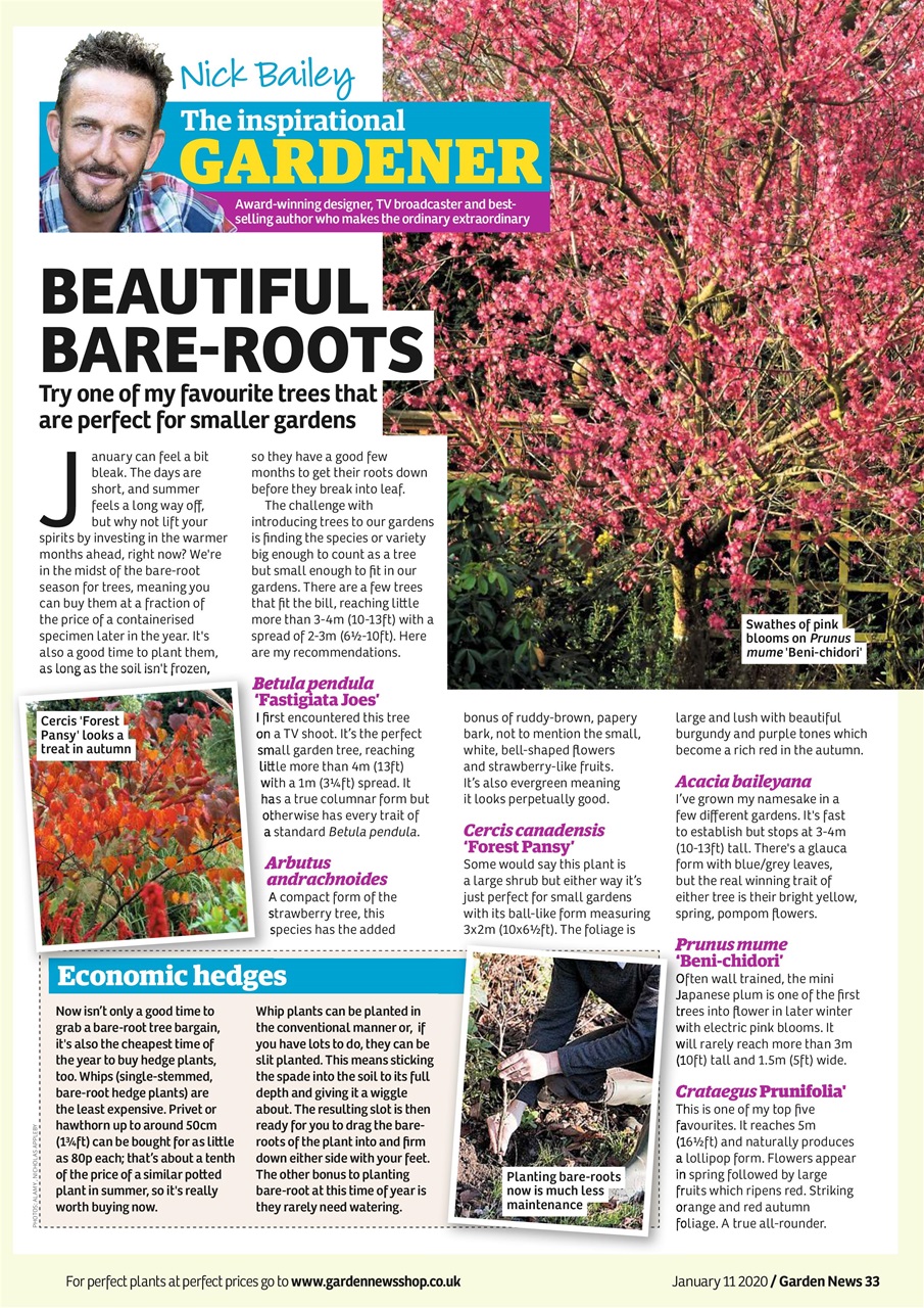 Garden News Preview Pages
