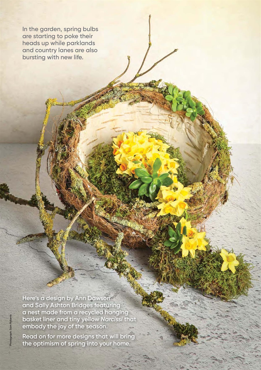 The Flower Arranger Preview Pages