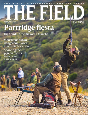 The Field issue Feb-2020