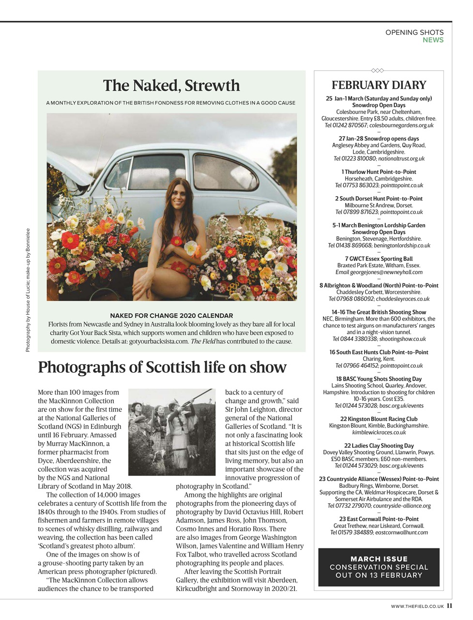 The Field Preview Pages