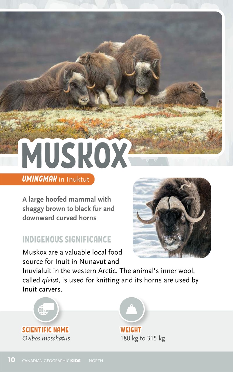 Canadian Geographic Preview Pages