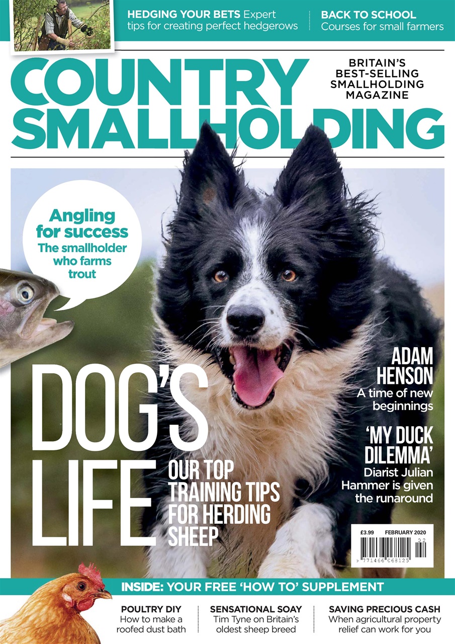 The Country Smallholder Preview Pages