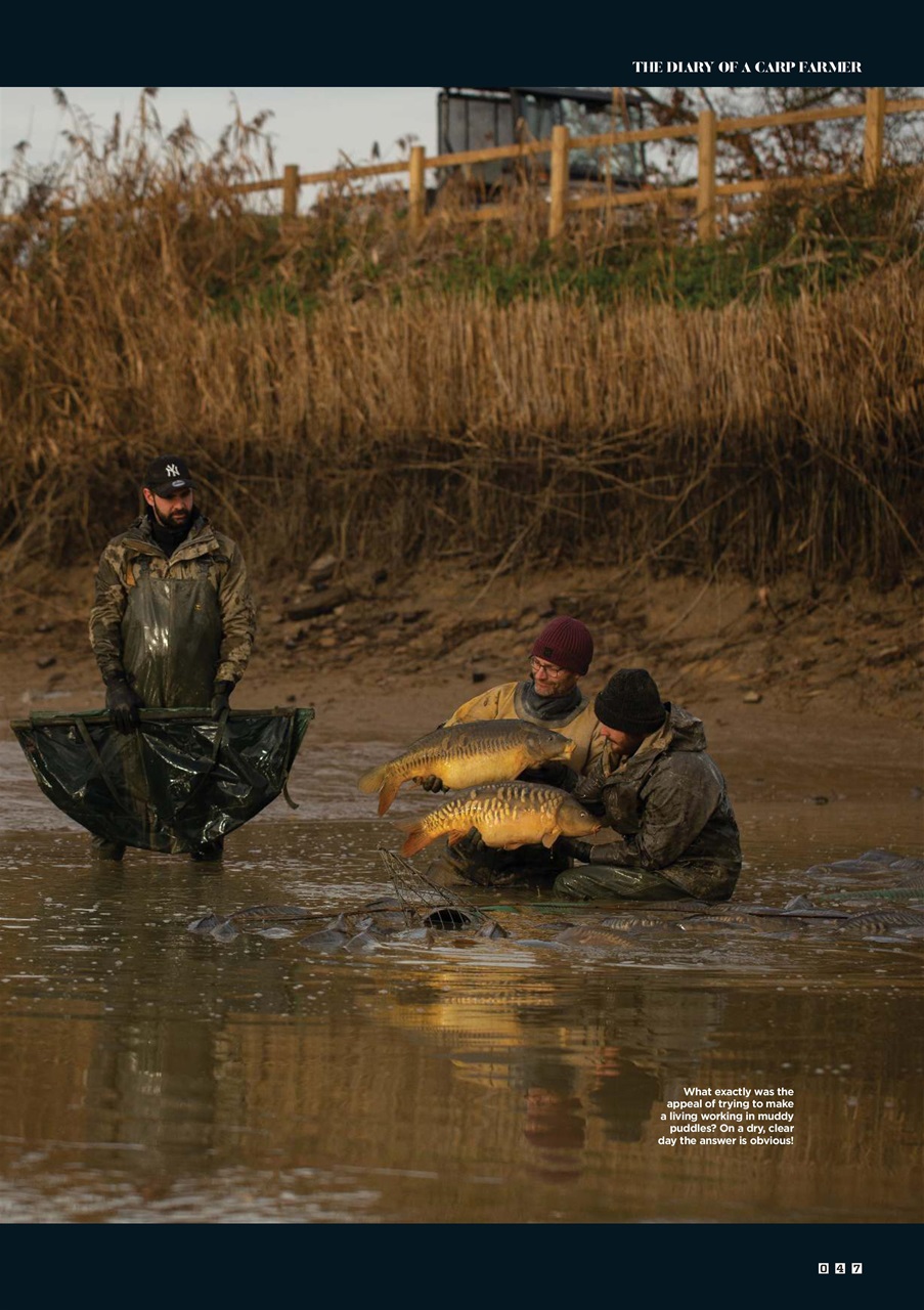 CARPology Magazine Preview Pages