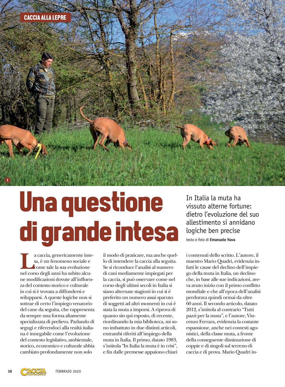 Caccia Magazine Preview Pages