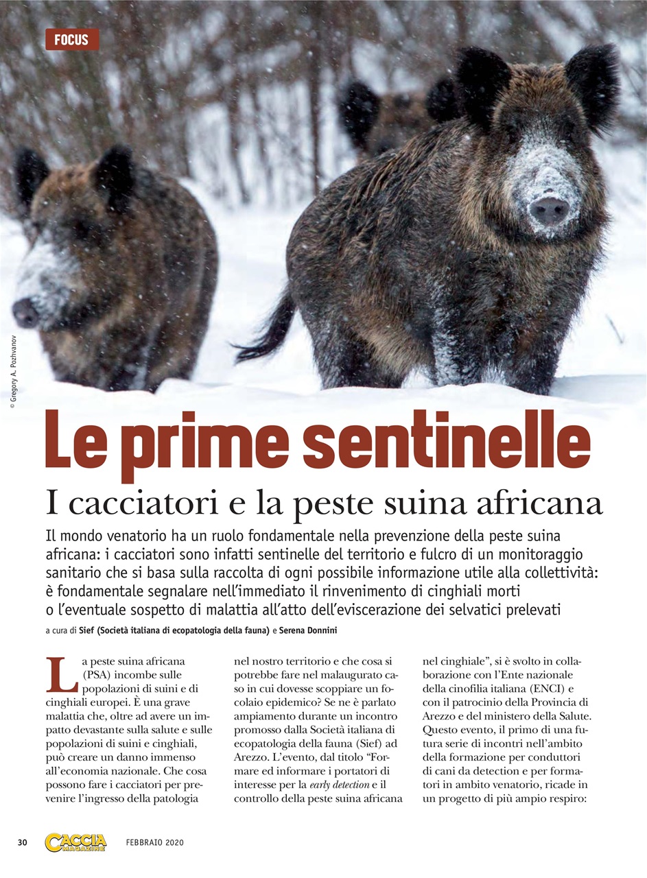 SENTIERI DI CACCIA Preview Pages