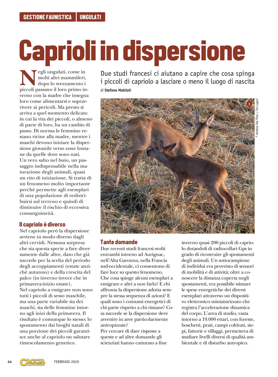 SENTIERI DI CACCIA Preview Pages