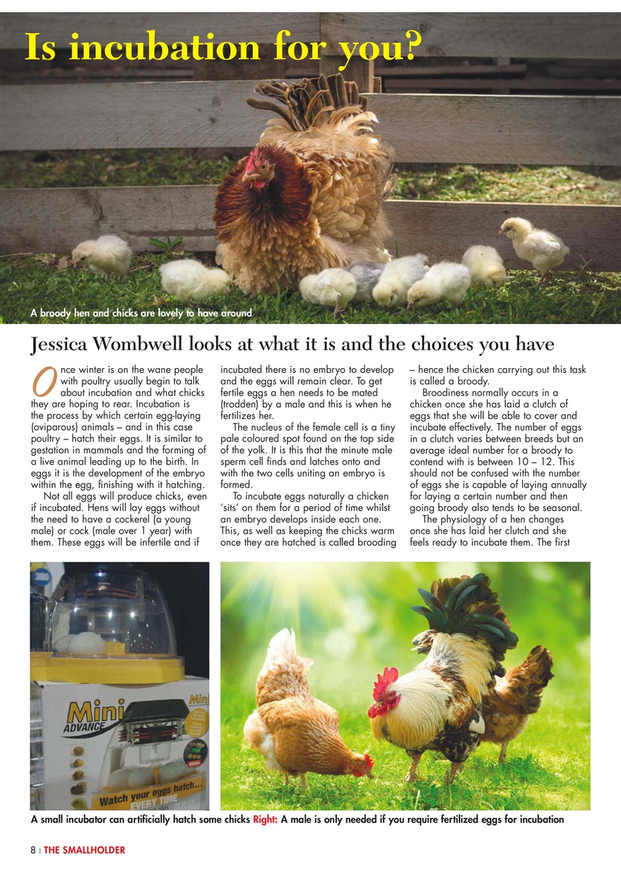 The Smallholder Preview Pages