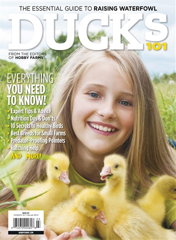 Chickens Magazine issue Ducks 101