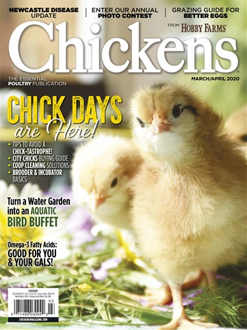 Chickens Magazine issue March/April 2020