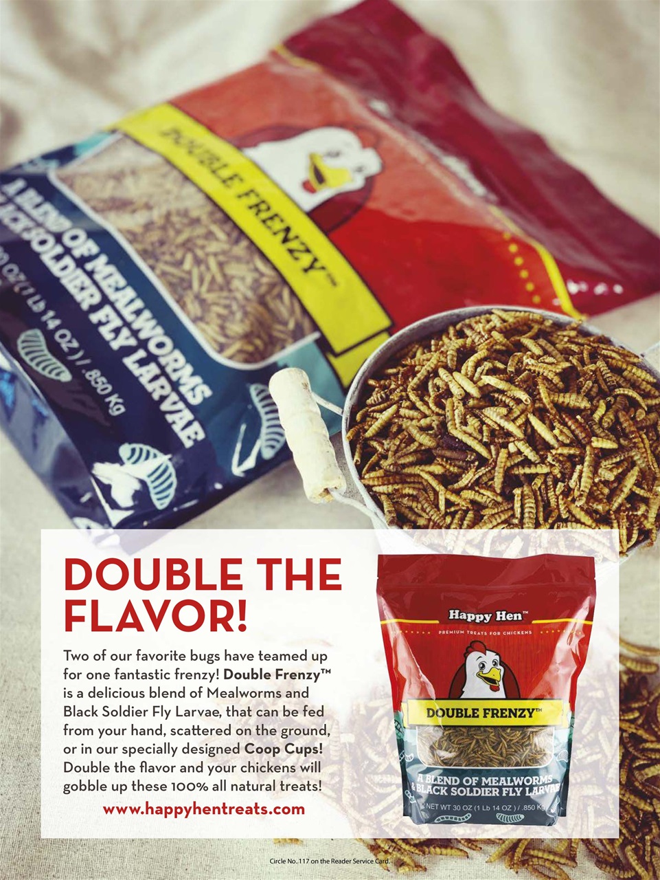 Chickens Magazine Preview Pages