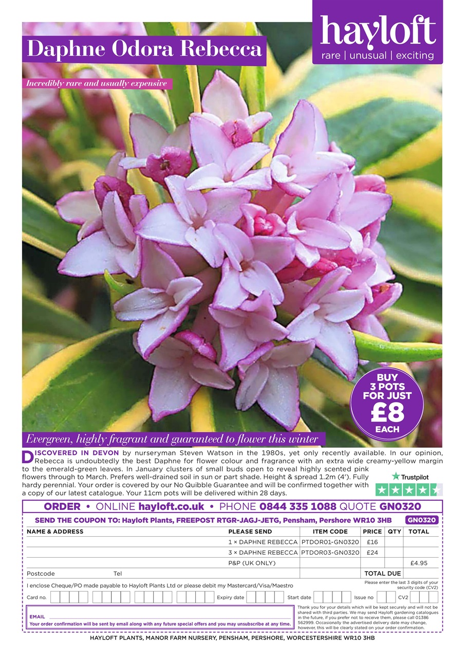 Garden News Preview Pages