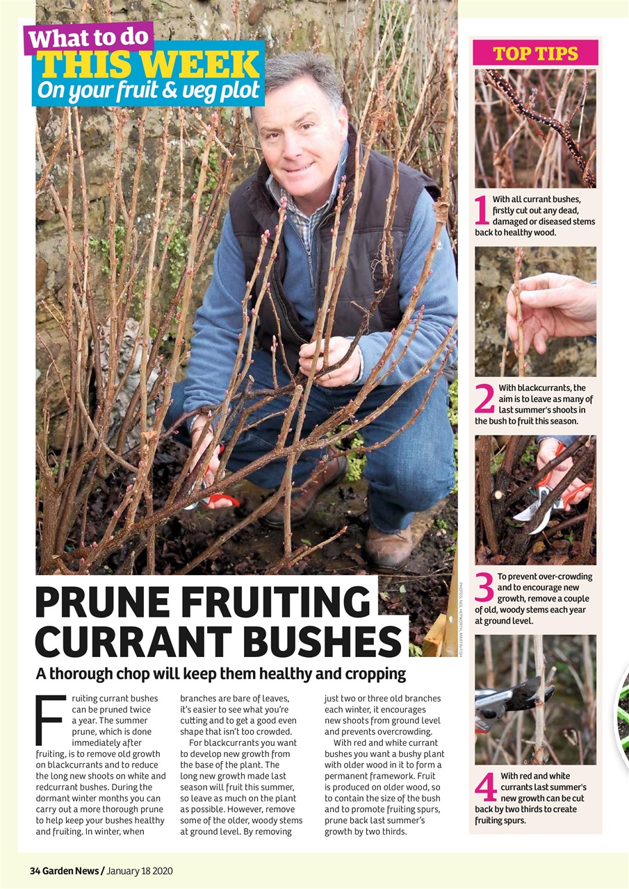 Garden News Preview Pages