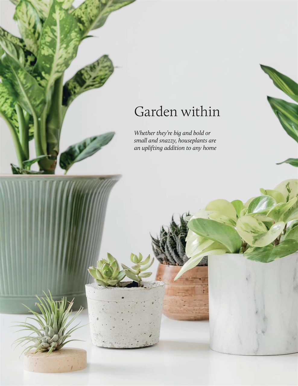 Breathe Preview Pages