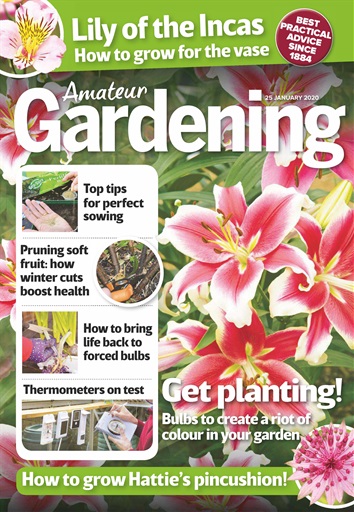 Amateur Gardening issue 