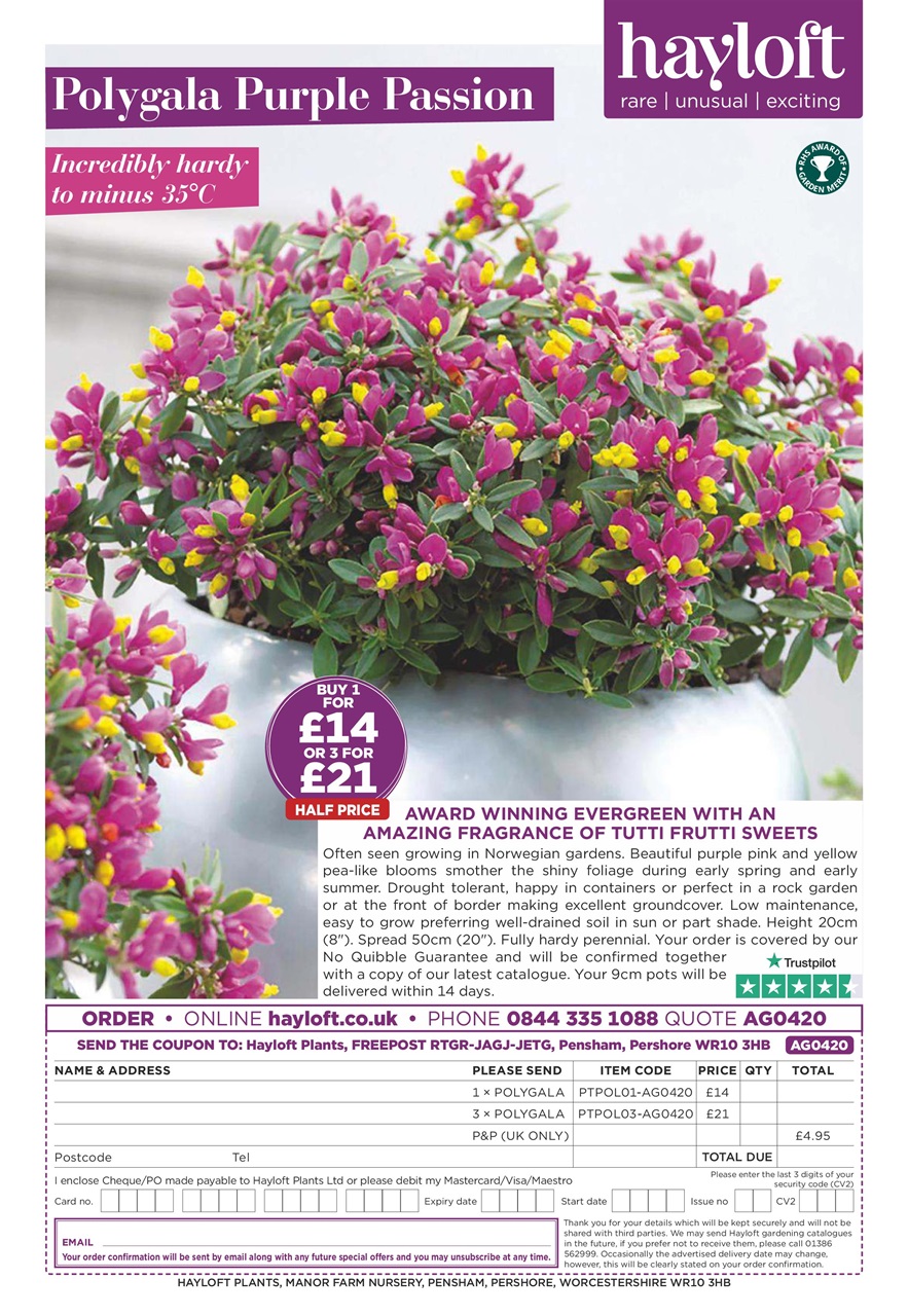 Amateur Gardening Preview Pages