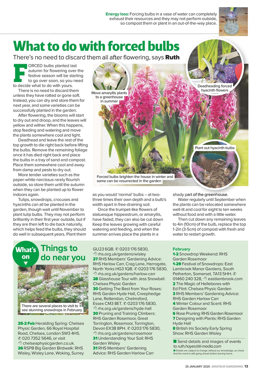 Amateur Gardening Preview Pages