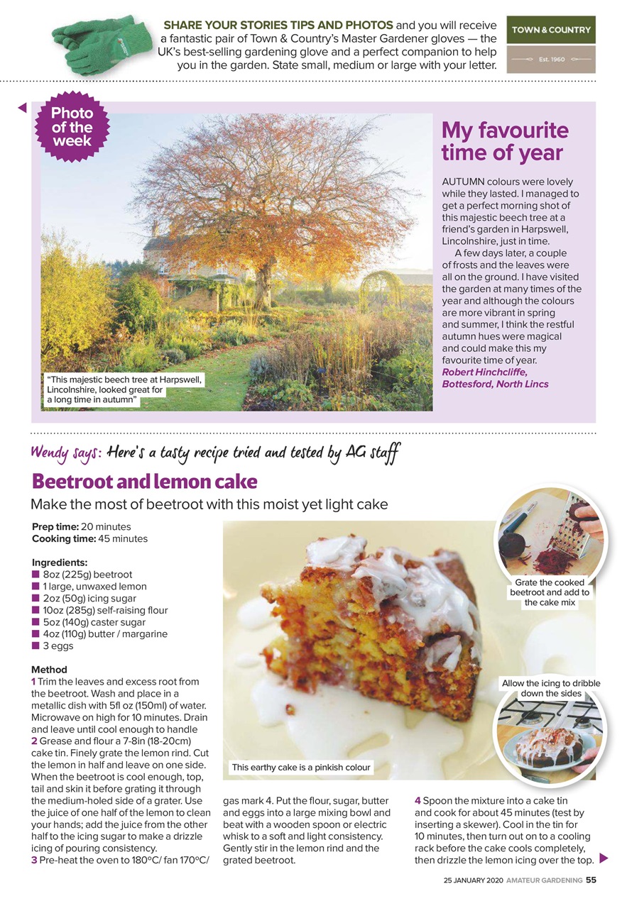 Amateur Gardening Preview Pages