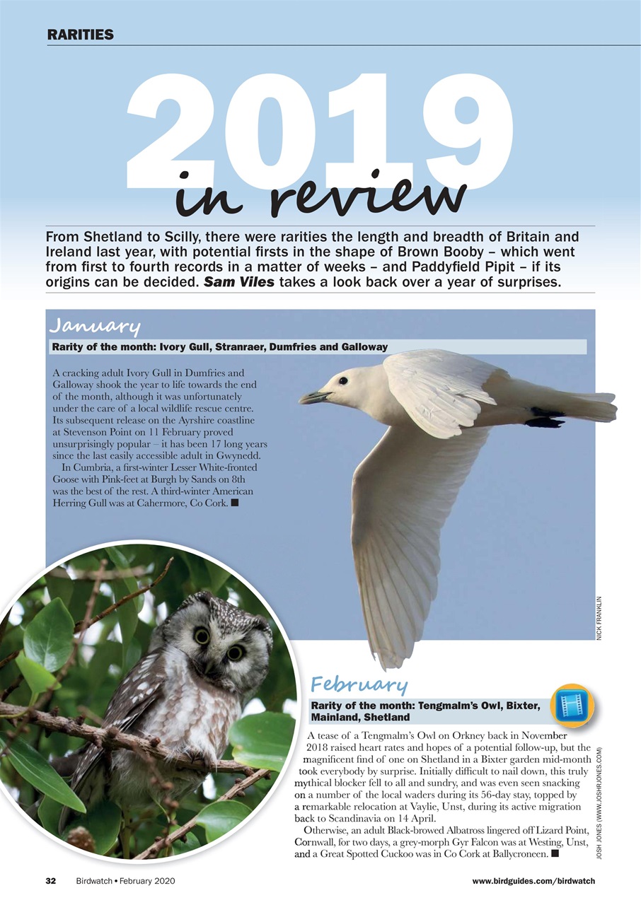 Birdwatch Magazine Preview Pages