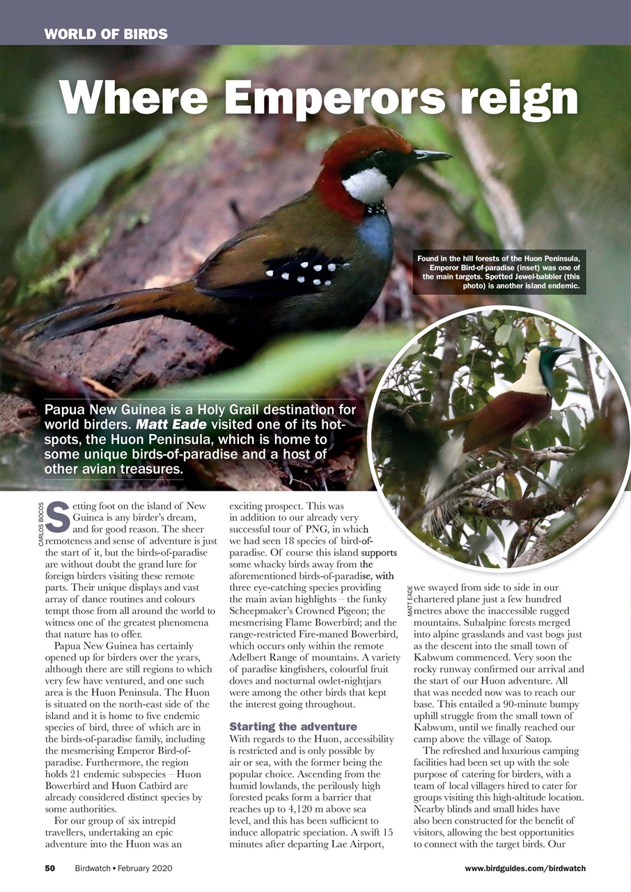 Birdwatch Magazine Preview Pages