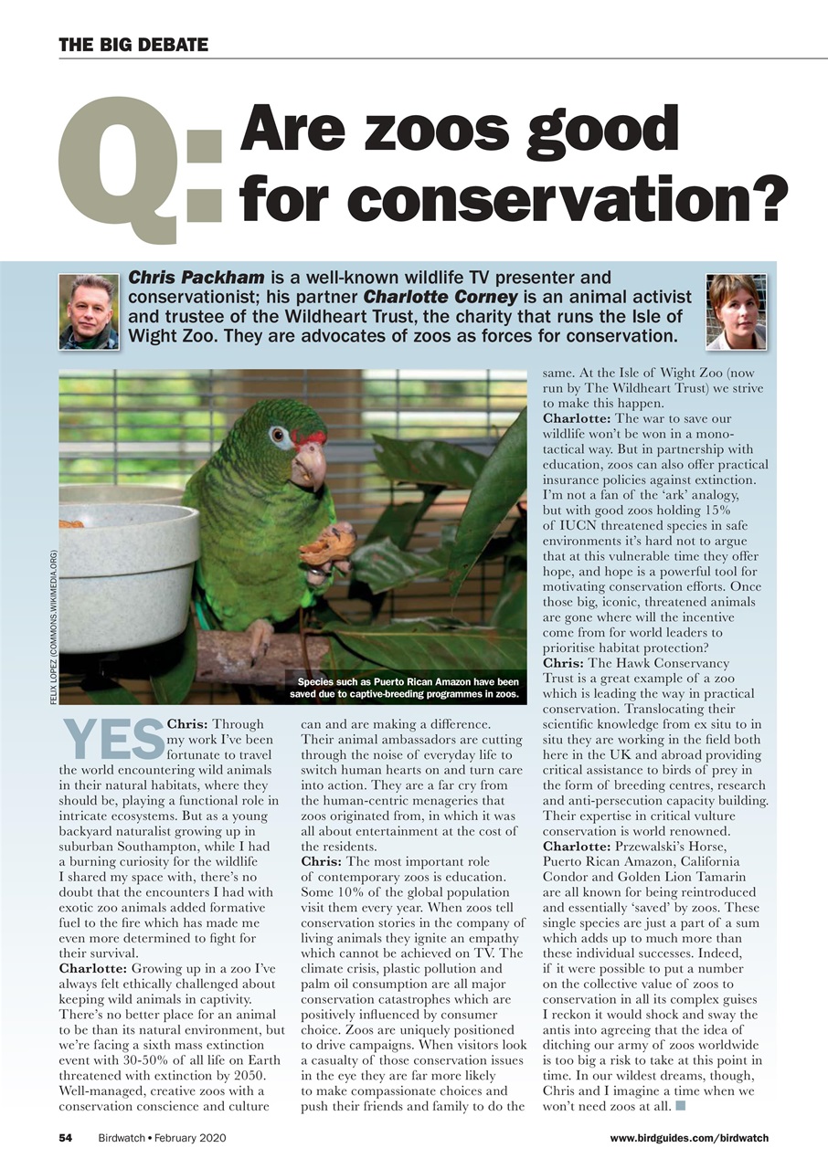 Birdwatch Magazine Preview Pages