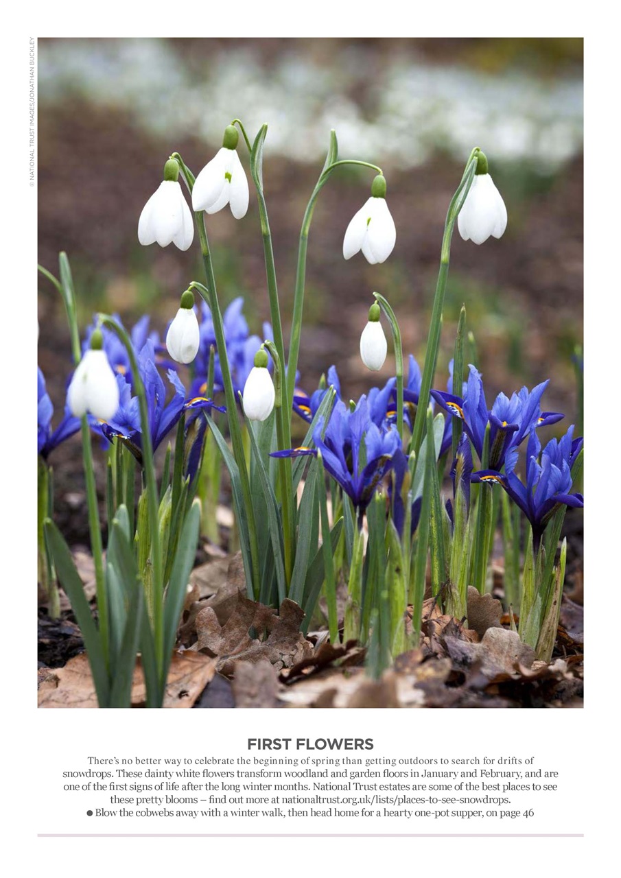 Vegetarian Living Preview Pages