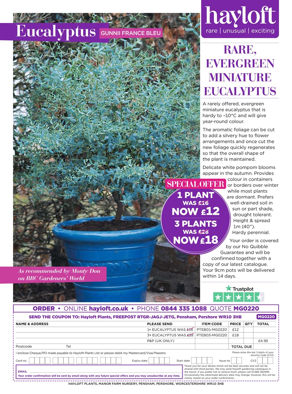 Modern Gardens Preview Pages
