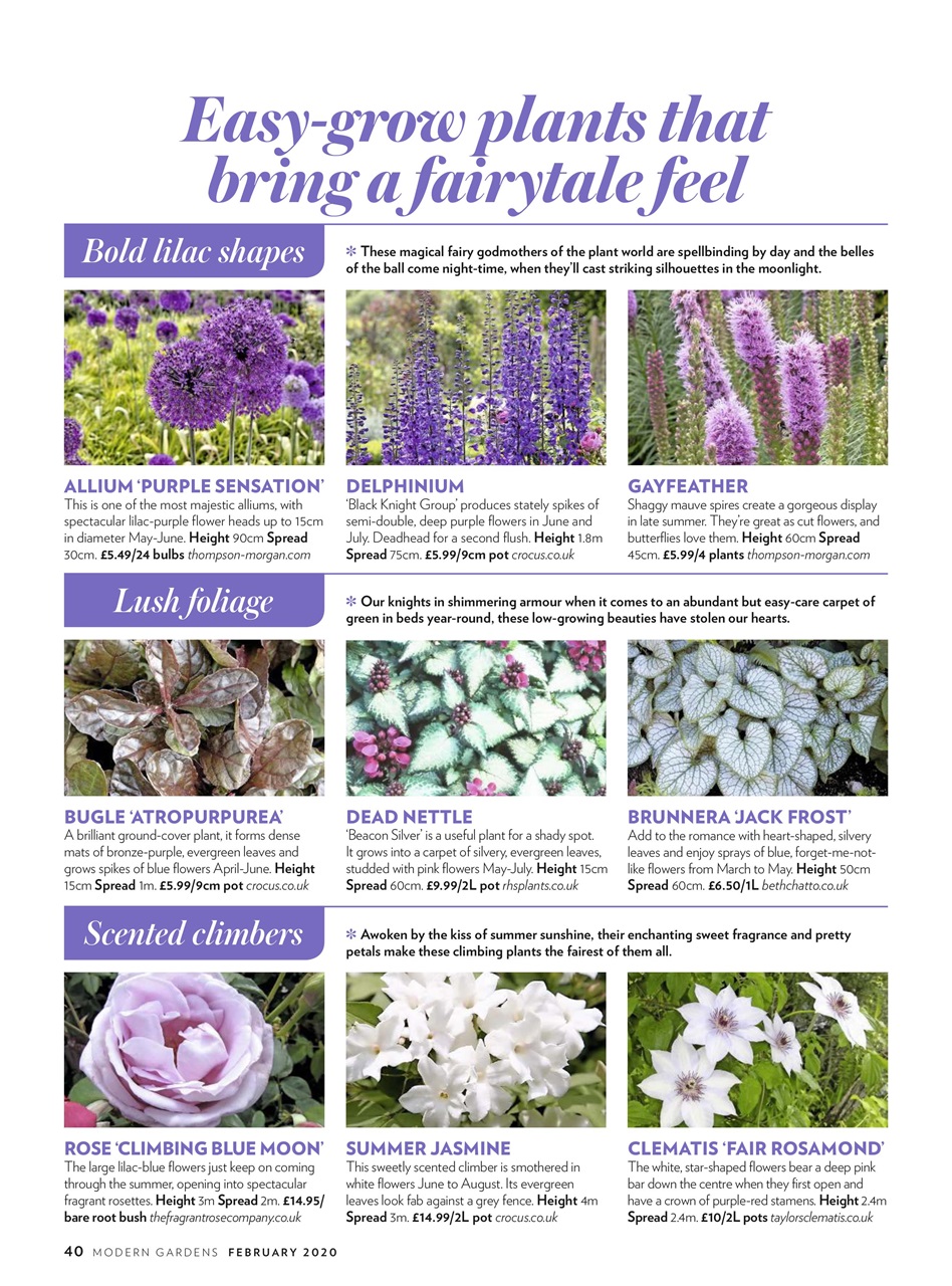 Modern Gardens Preview Pages