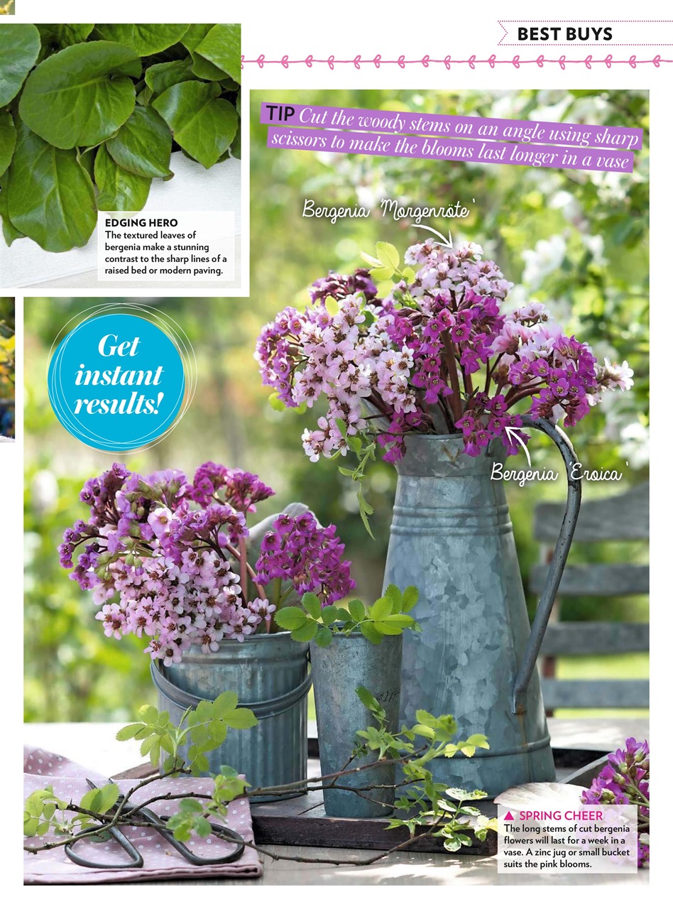 Modern Gardens Preview Pages
