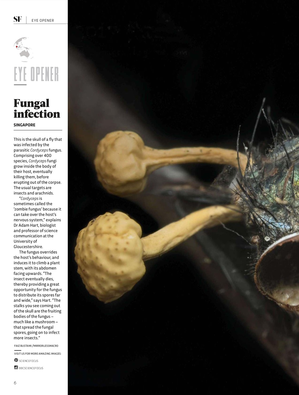 BBC Science Focus Magazine Preview Pages