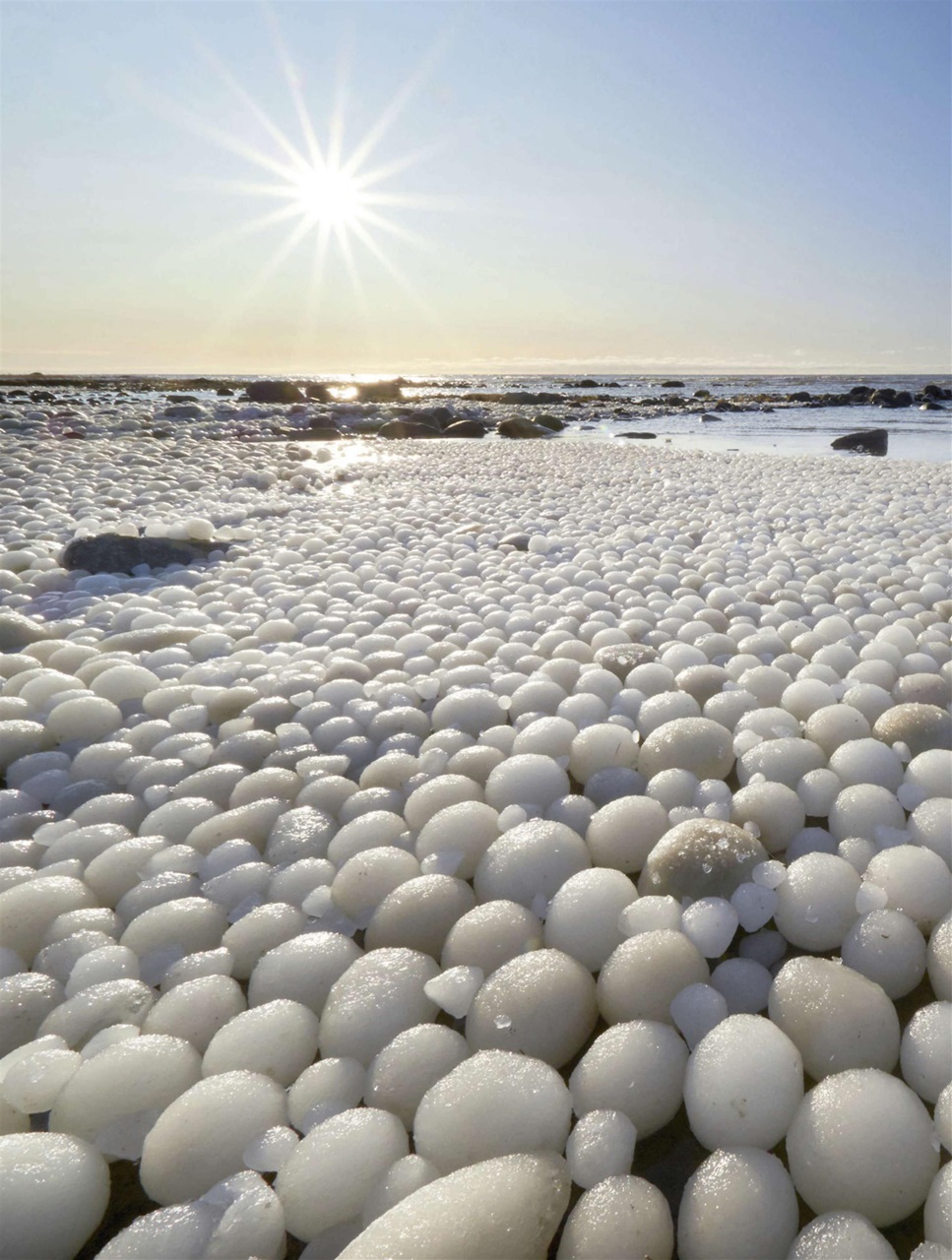 BBC Science Focus Magazine Preview Pages