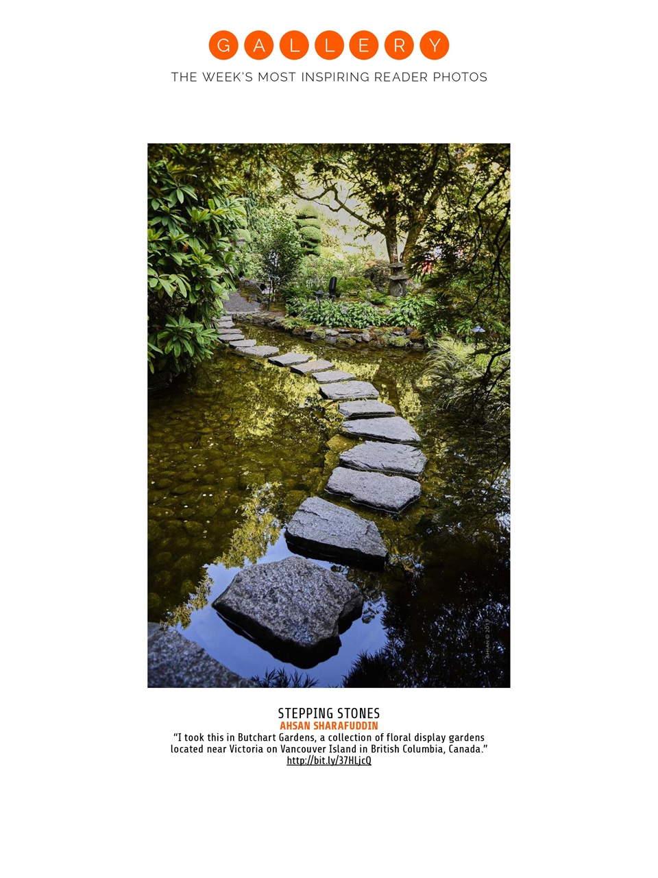 Photography Week Preview Pages