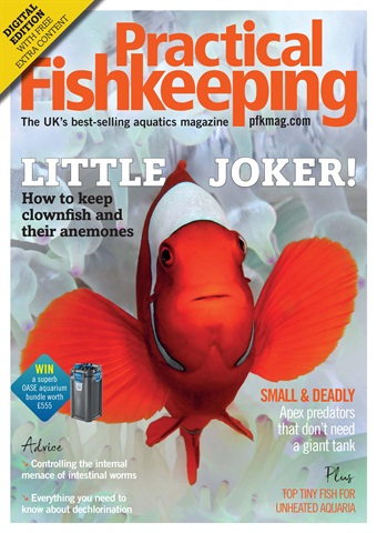 Practical Fishkeeping issue Practical Fishkeeping Magazine March 2020