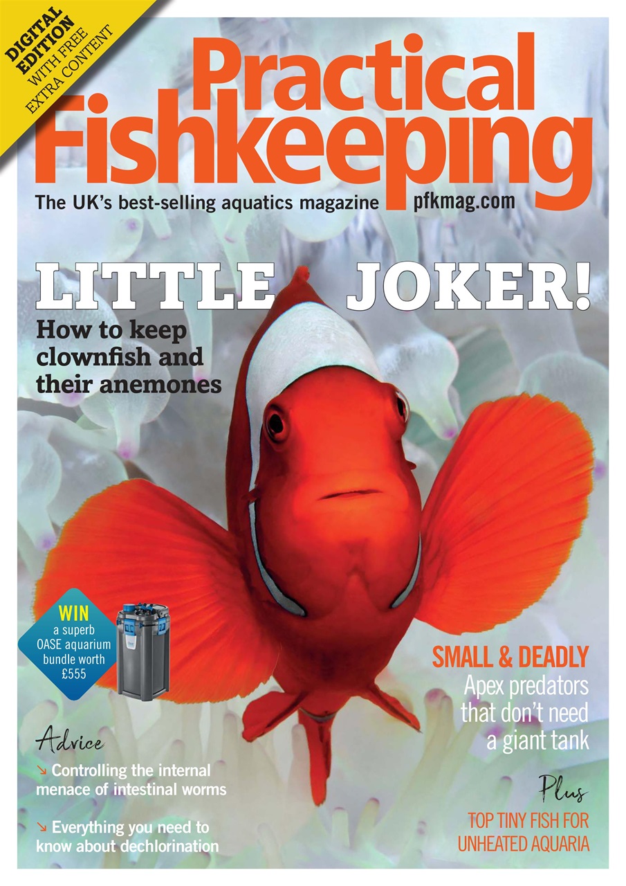 Practical Fishkeeping Preview Pages