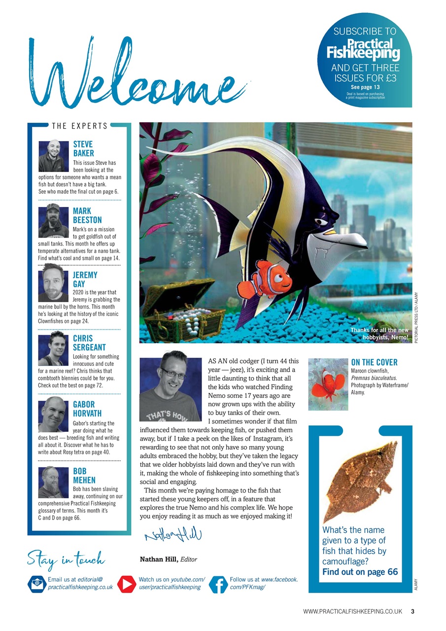 Practical Fishkeeping Preview Pages