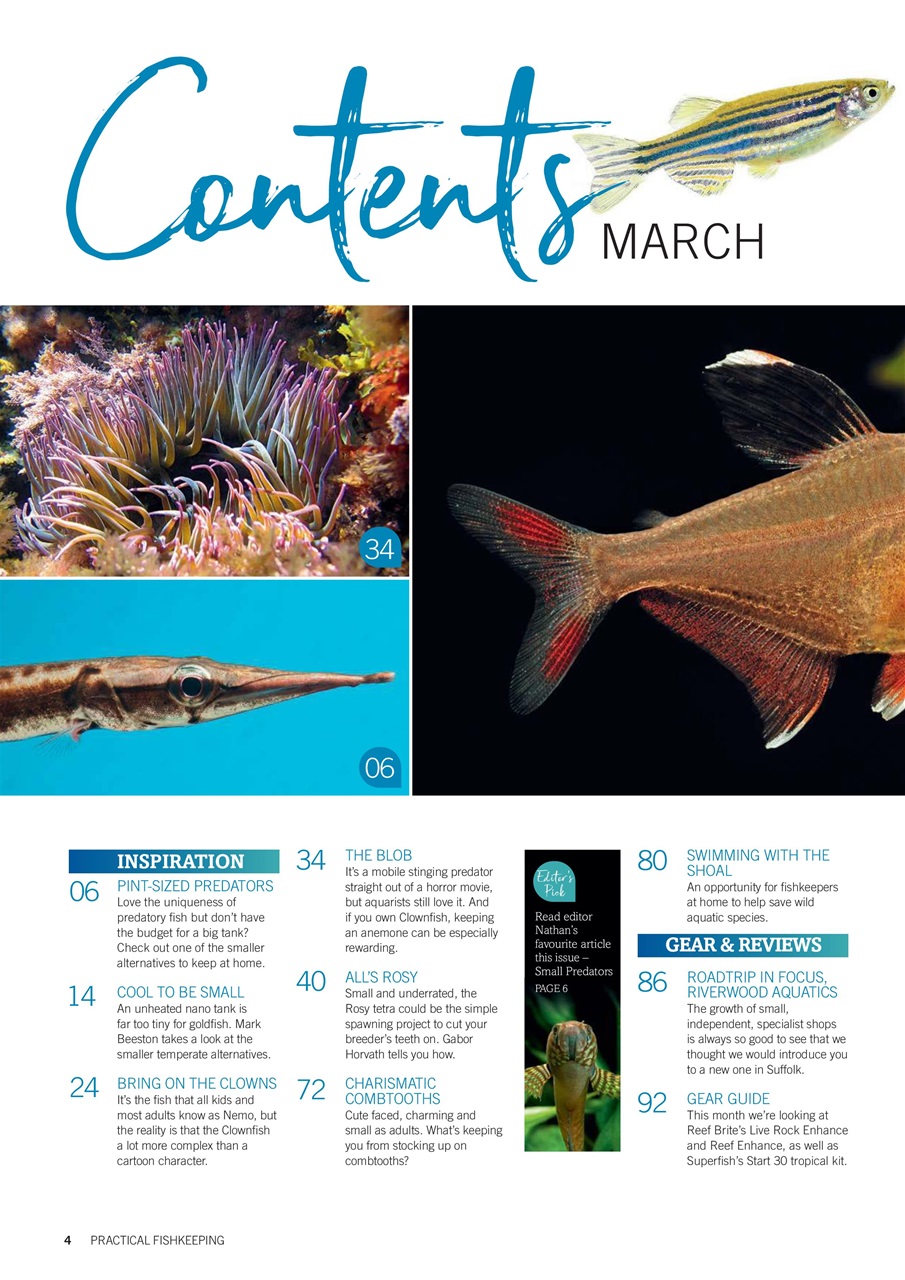 Practical Fishkeeping Preview Pages