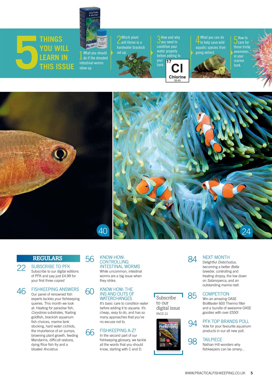 Practical Fishkeeping Preview Pages