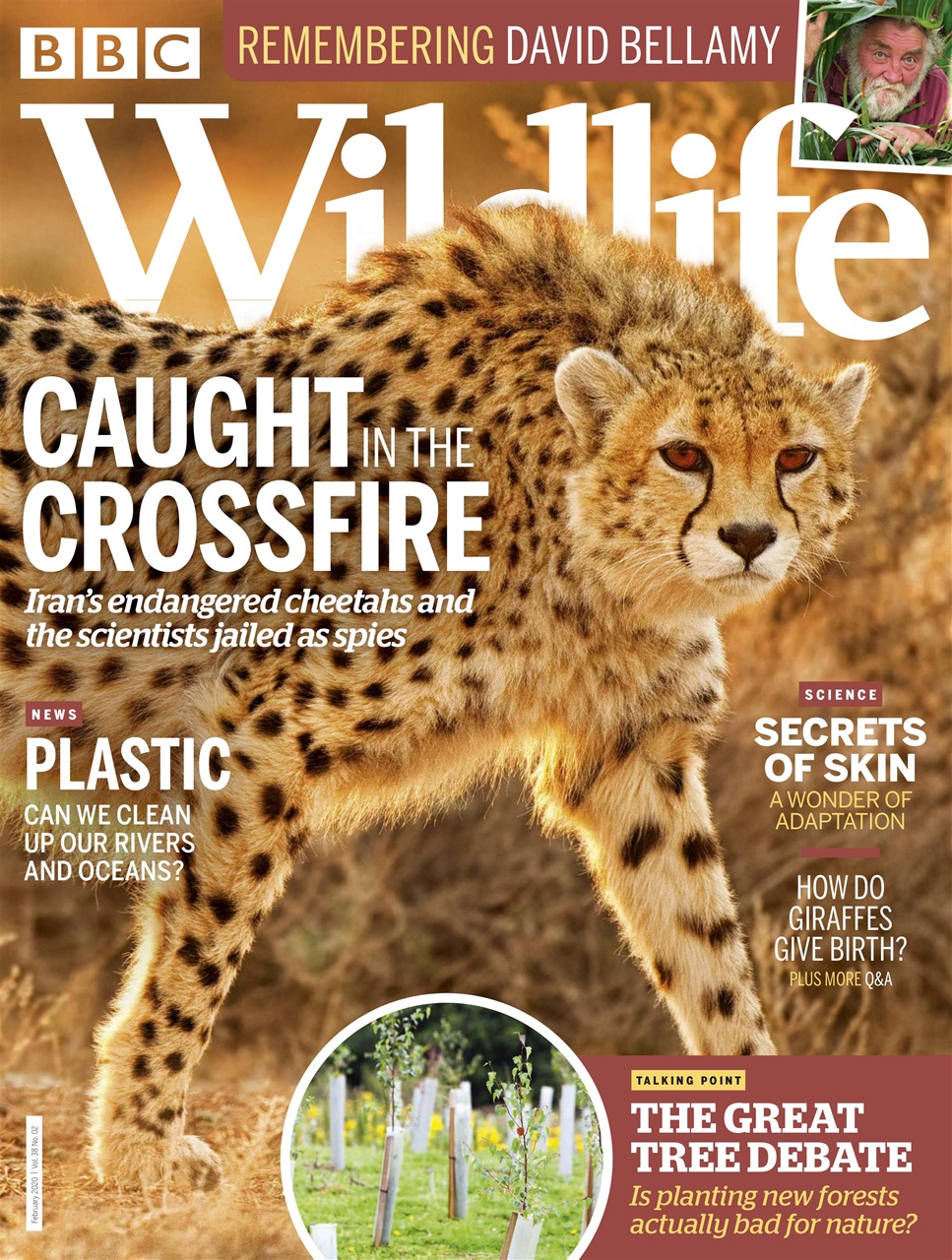 BBC Wildlife Magazine Preview Pages