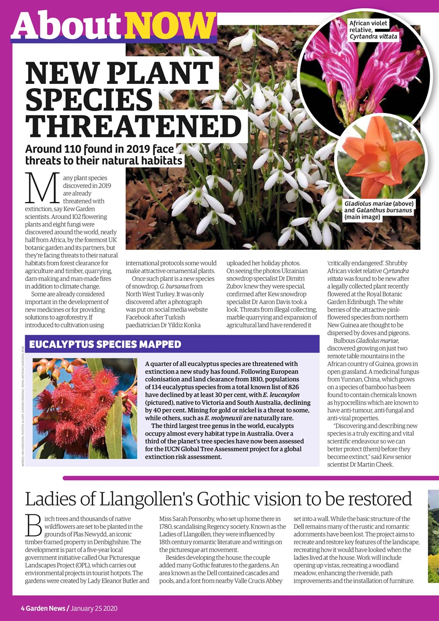 Garden News Preview Pages