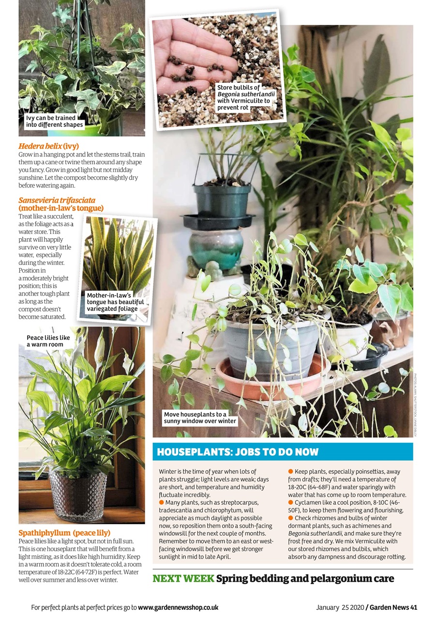 Garden News Preview Pages