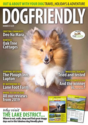 Dog Friendly issue Jan-Feb 2020