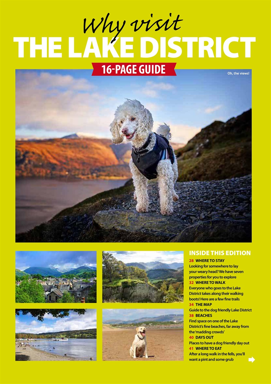 Dog Friendly Preview Pages