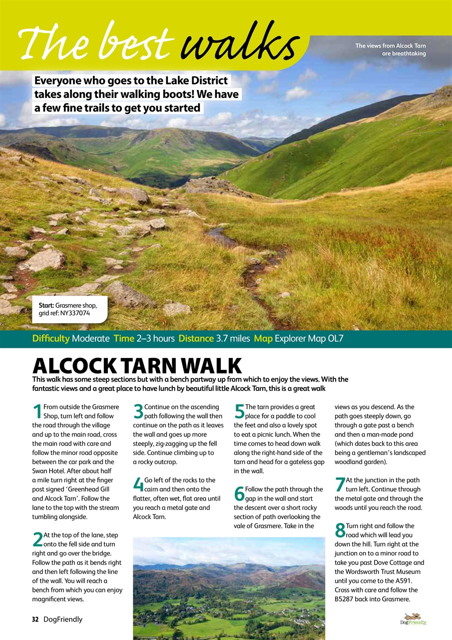 Dog Friendly Preview Pages