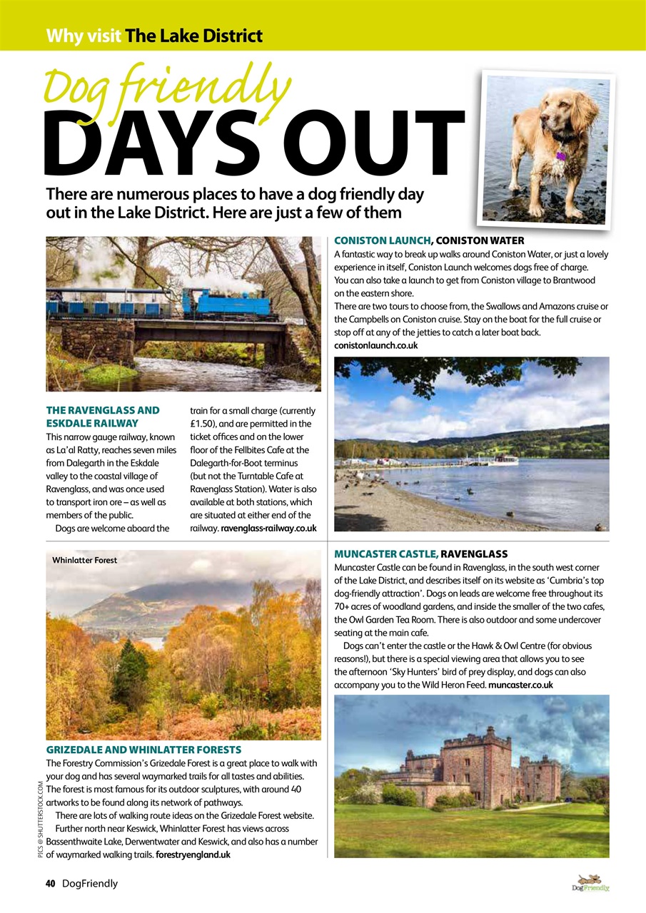 Dog Friendly Preview Pages