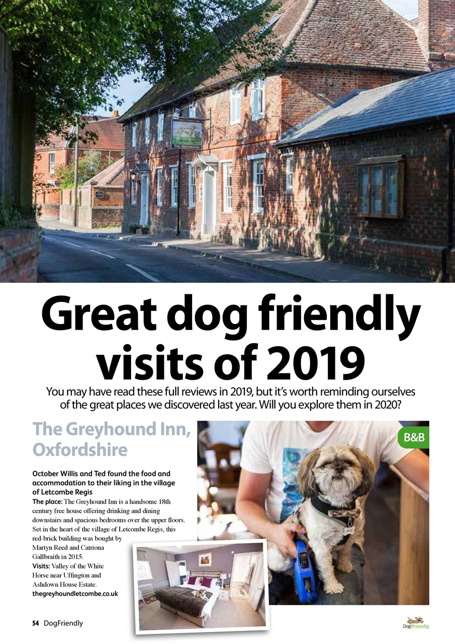 Dog Friendly Preview Pages