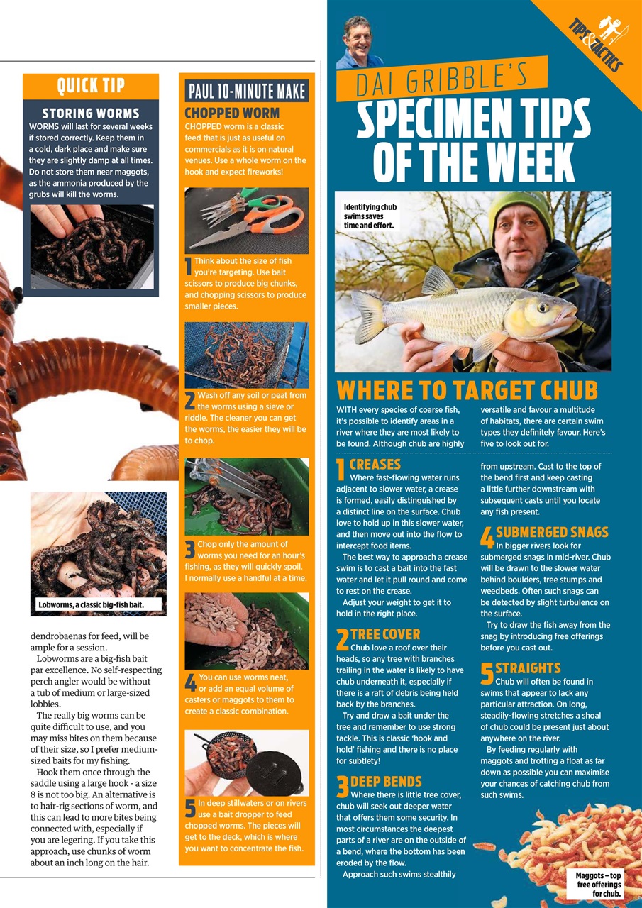 Angling Times Preview Pages