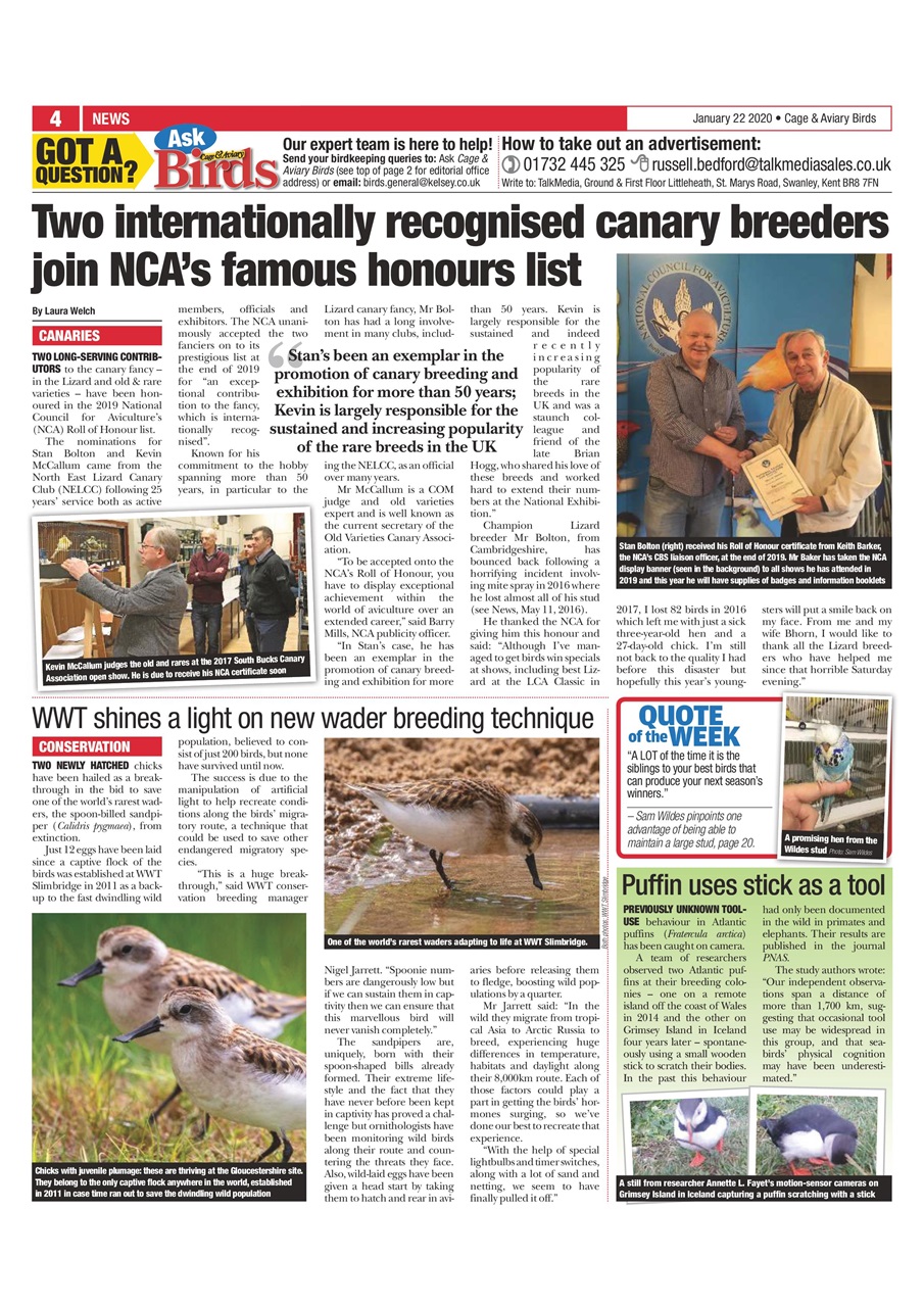 Cage & Aviary Birds Preview Pages